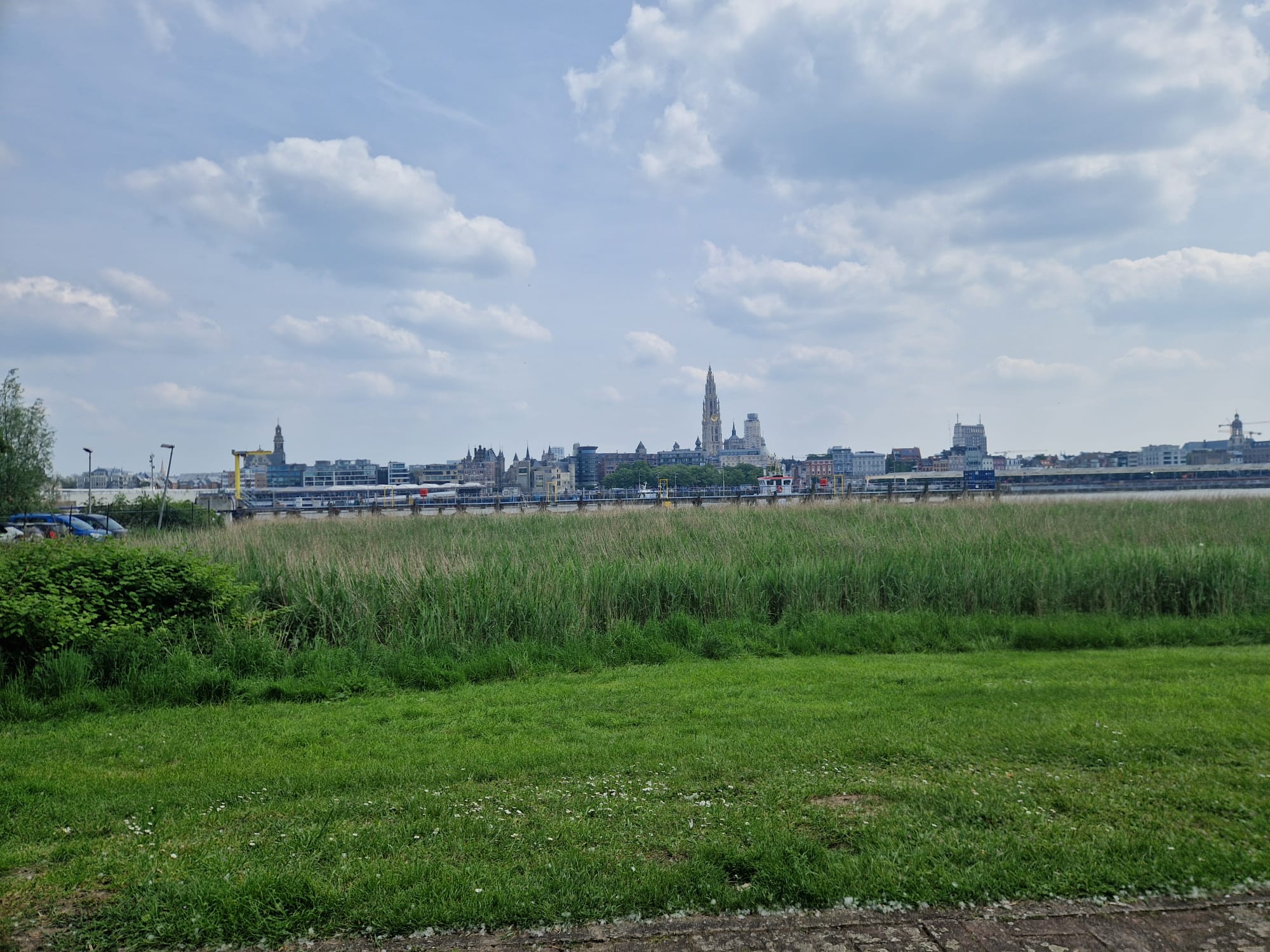 skyline antwerpen